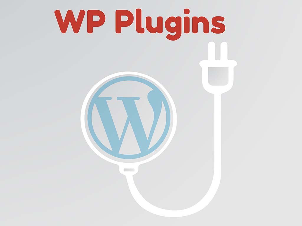 3 WordPress Plugins for Website